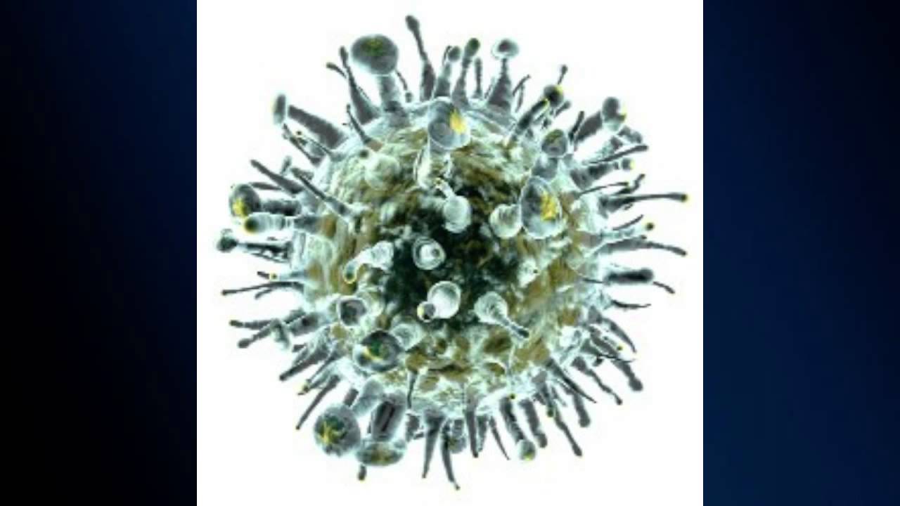 Biotechnologia I Inżynieria Genetyczna Zadania