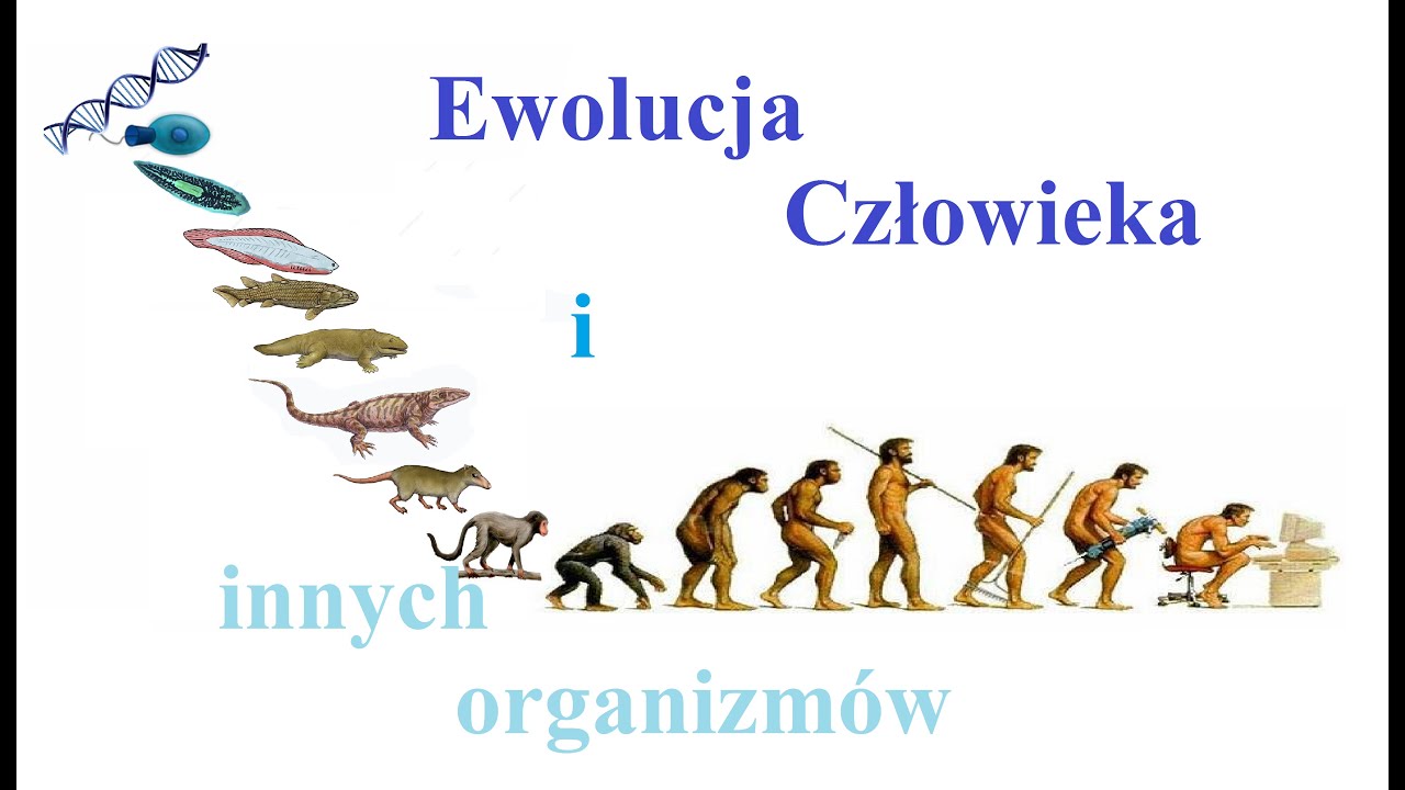 Ewolucja Zycia