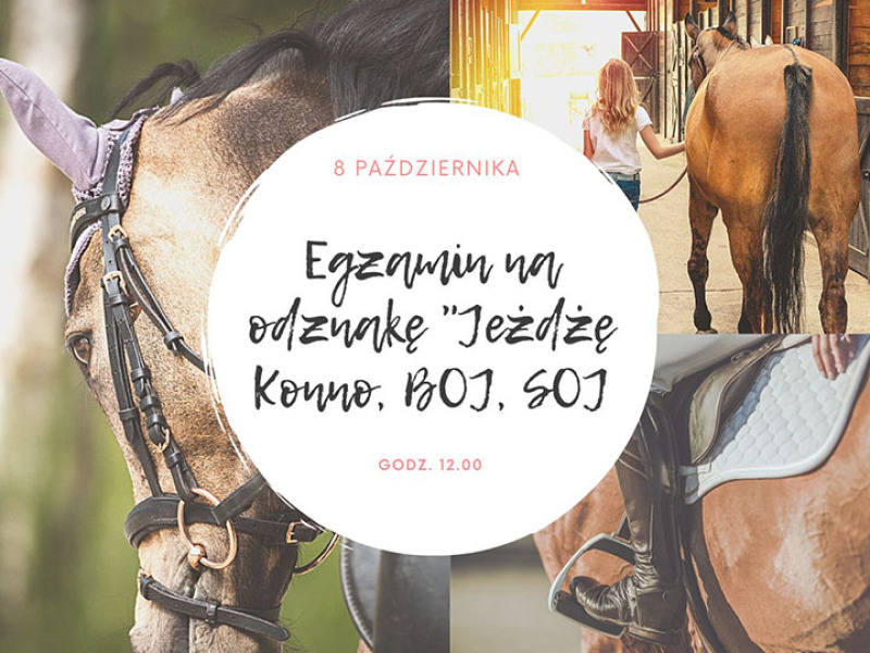 Egzamin na Odznakę Jeżdżę Konno w Stadninie Leśna Wola 8.10.2022r Pytania Na Odznake Jezdze Konno