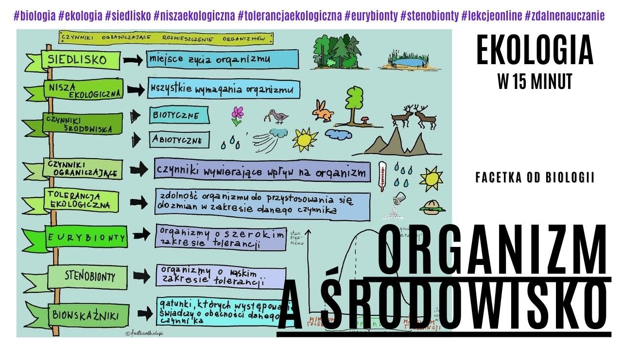 Ekologia – Organizm a środowisko – Tolerancja ekologiczna – Darmowe Europejska Sieć Ekologiczna Natura 2000 W Polsce