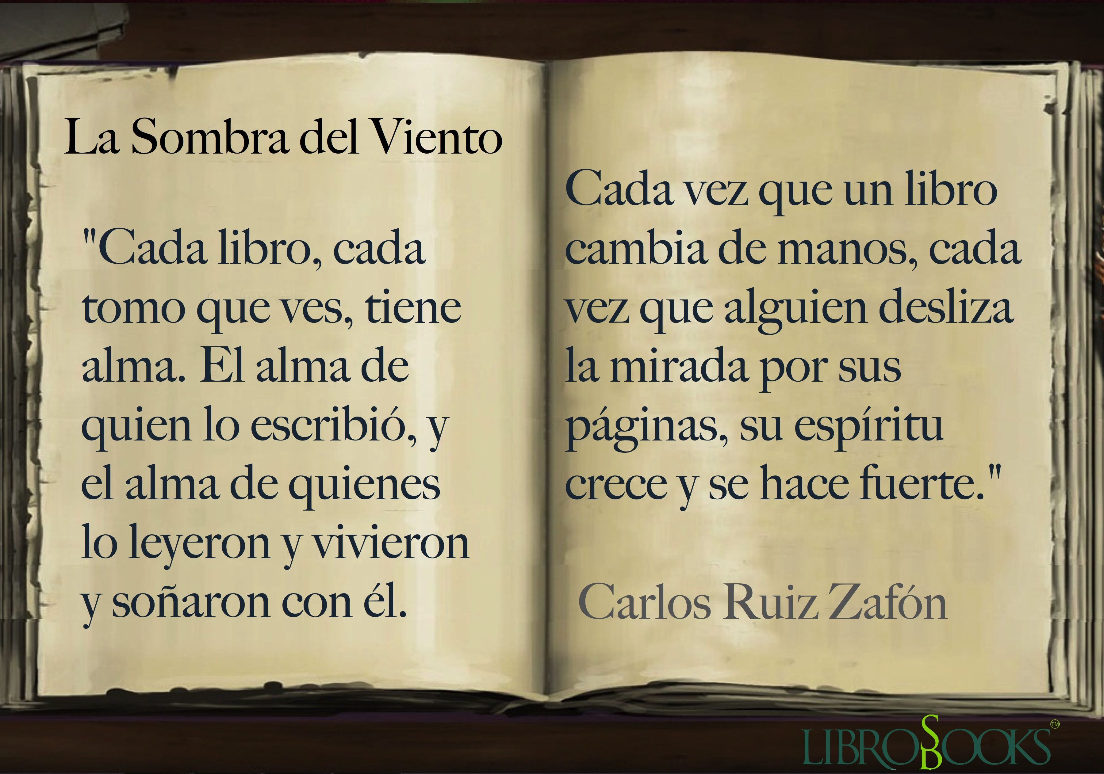 La Sombra Del Viento Citas