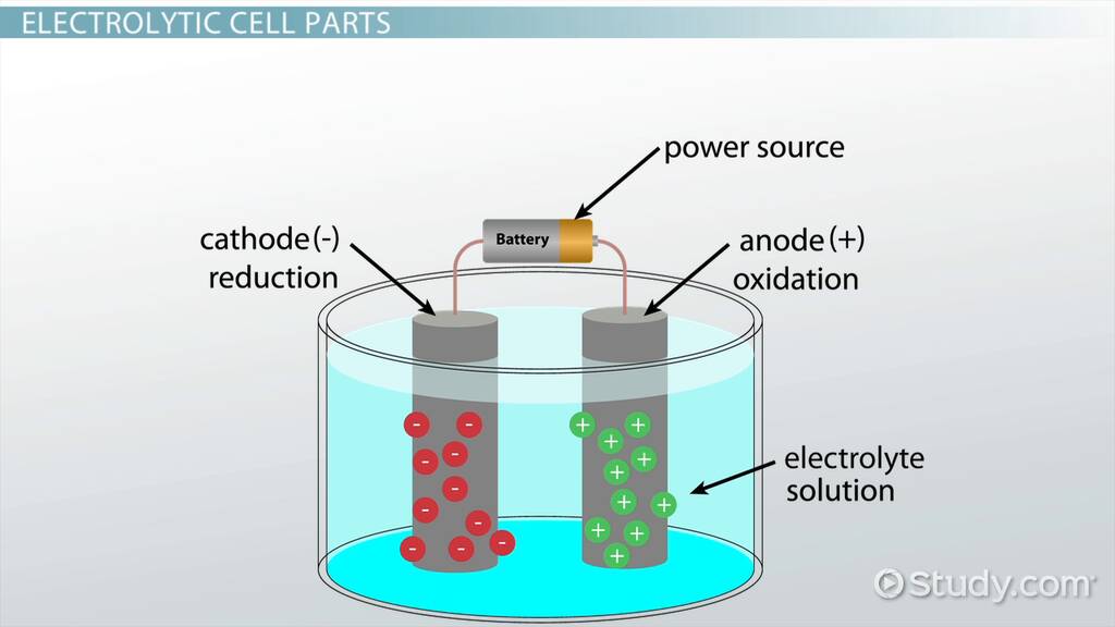 Which Electrode Gets Heavier In An Electrolytic Cell