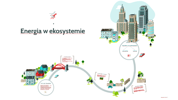 Piramida Energii W Ekosystemie