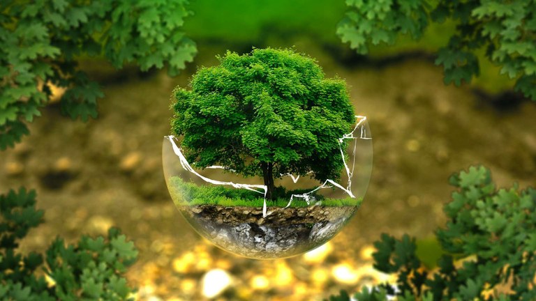 Environmental Pollution By Heavy Metals