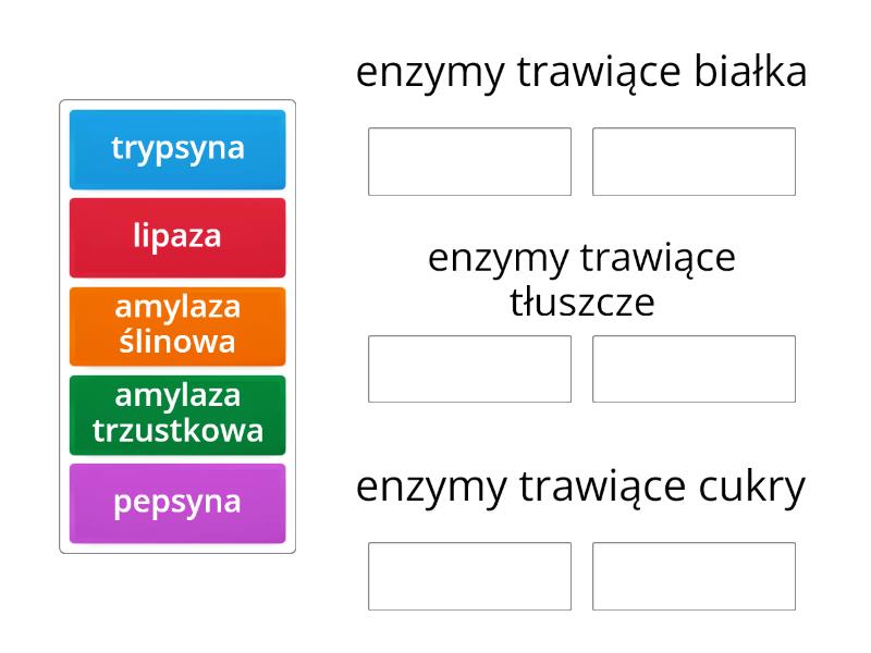 Enzymy trawienne - Group sort Trypsyna I Chymotrypsyna To Enzymy