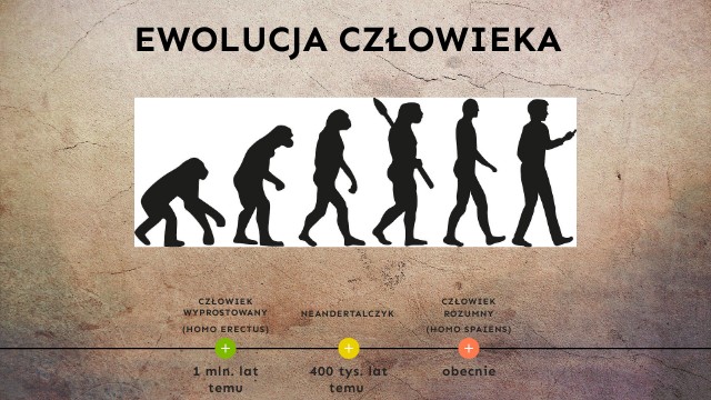 Ewolucja człowieka Ewolucja Zycia