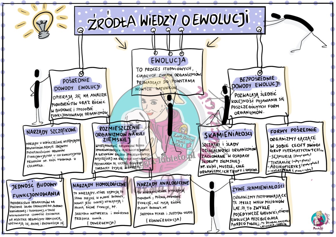Ewolucja - Źródła wiedzy - klasa 8, wklejka do zeszytu • Złoty nauczyciel Ewolucja Zycia Klasa 8 Notatka