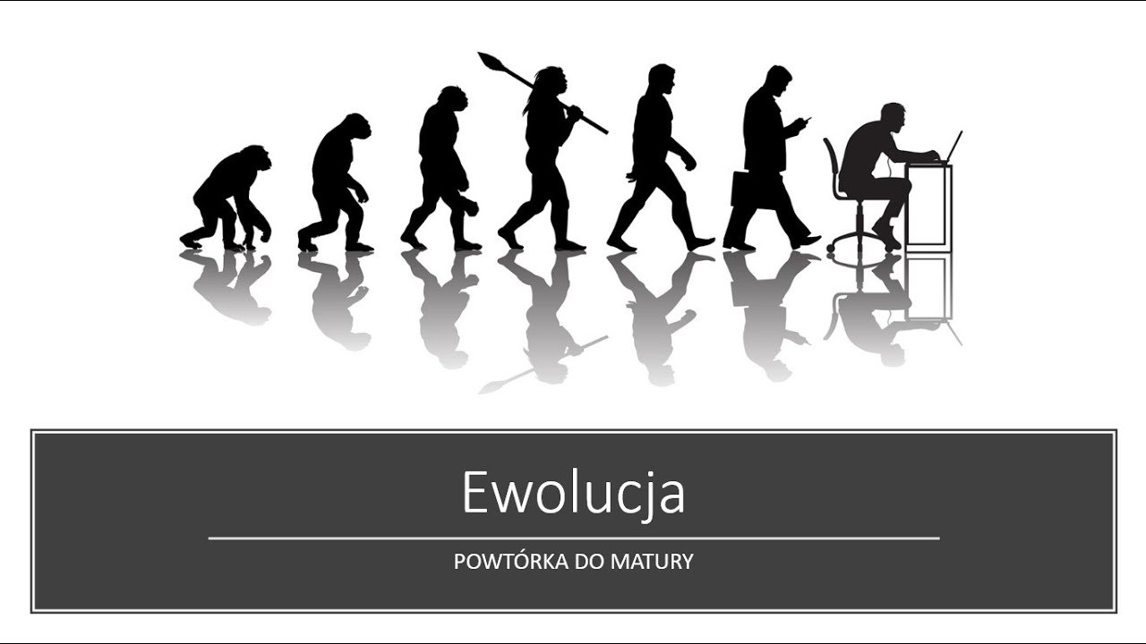 EWOLUCJONIZM | POWTÓRKA DO MATURY Z BIOLOGII 2020 - YouTube Ewolucja Zycia Klasa 8 Nowa Era