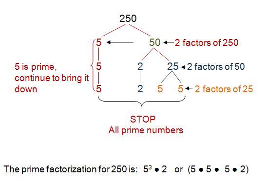 What Is The Prime Factorization Of 250