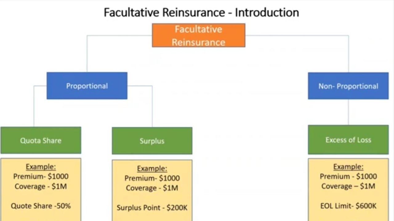 Facultative Reinsurance - YouTube Warta Insurance And Reinsurance Company