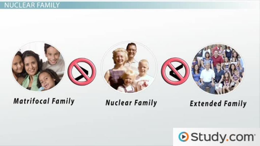Family System | Definition, Types & Examples - Lesson | Study.com Another Name For Nuclear And Extended Family