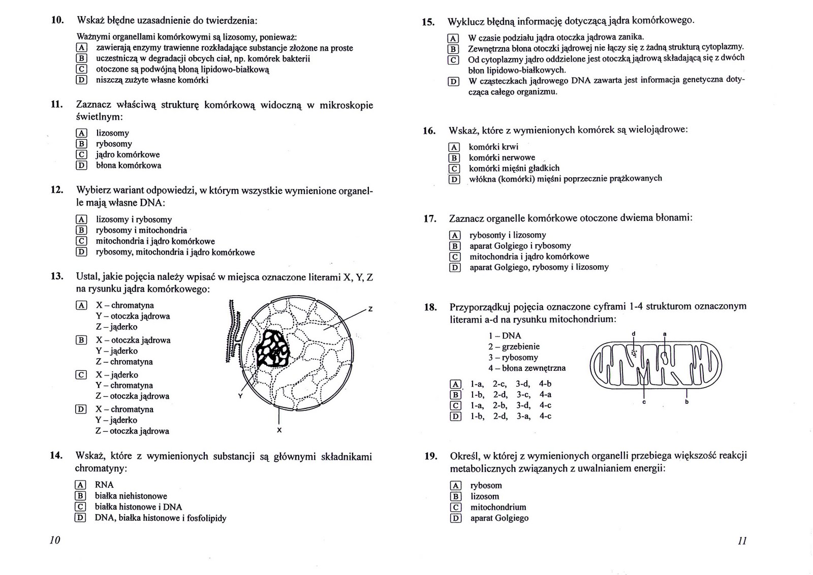 Fantastyczna biologiczno-chemiczna:): Pierwsza część materiałów na biologię Biologia Sprawdzian Klasa 7 Dział 1