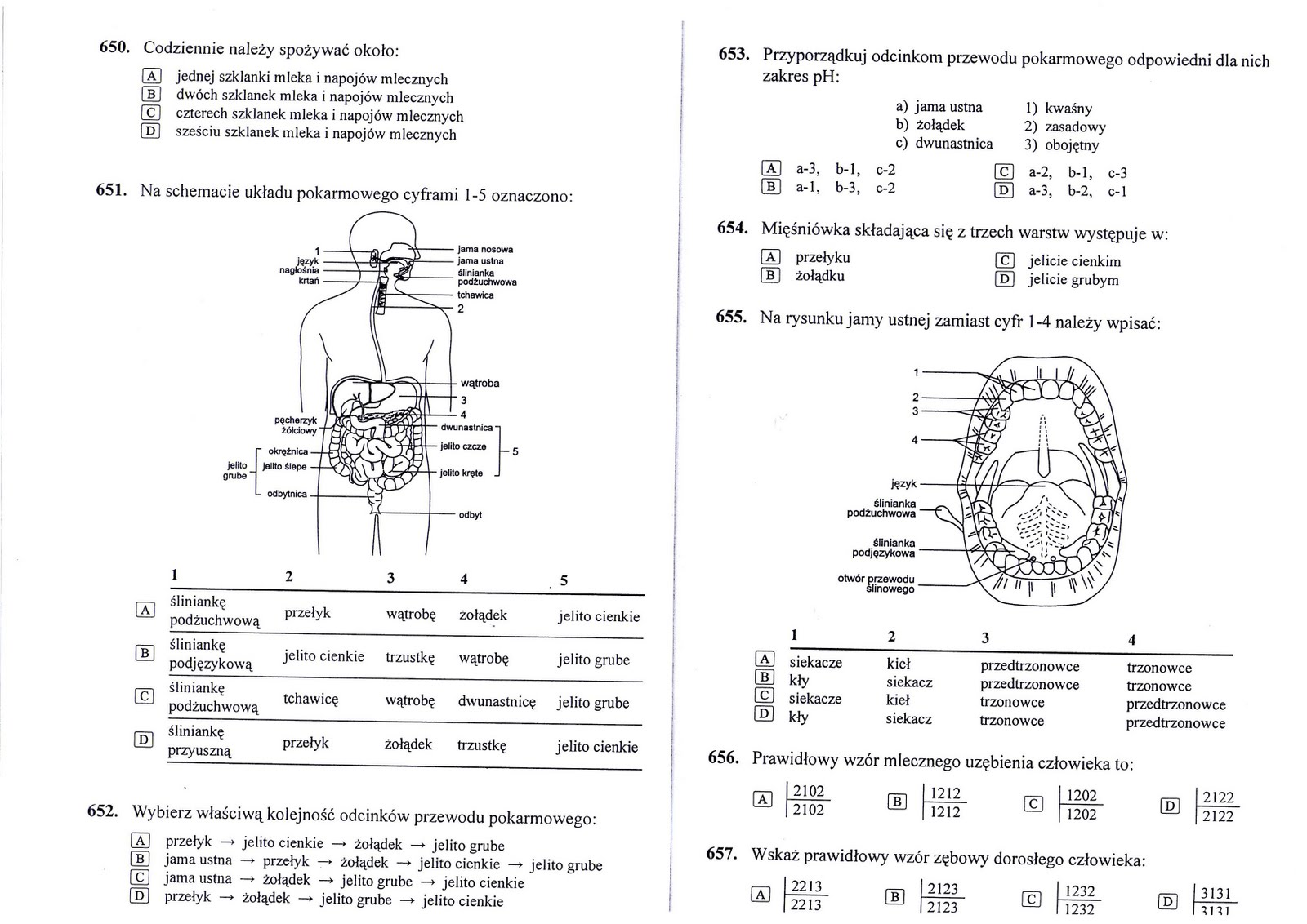 Uklad Pokarmow Test B