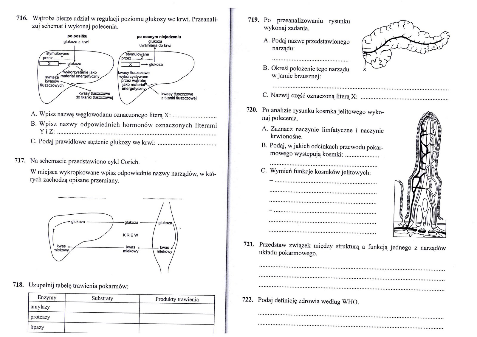 Biologia Sprawdzian Klasa 7 Uklad Pokarmowy