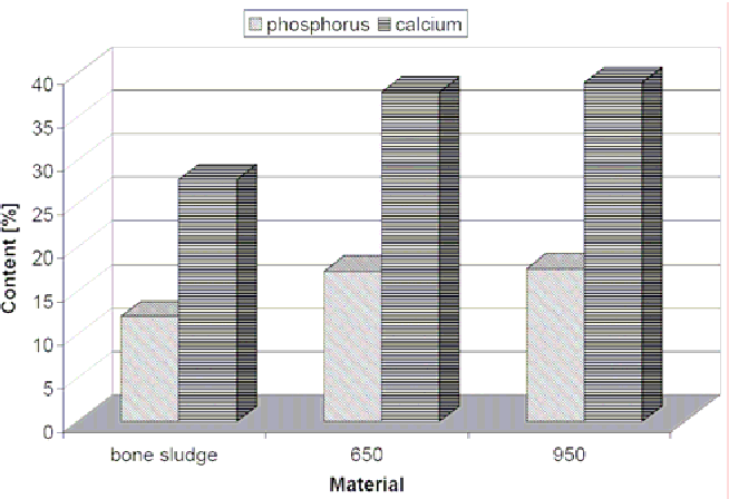 Figure 1 from Acta of Bioengineering and Biomechanics Original Paper Acta Of Bioengineering And Biomechanics