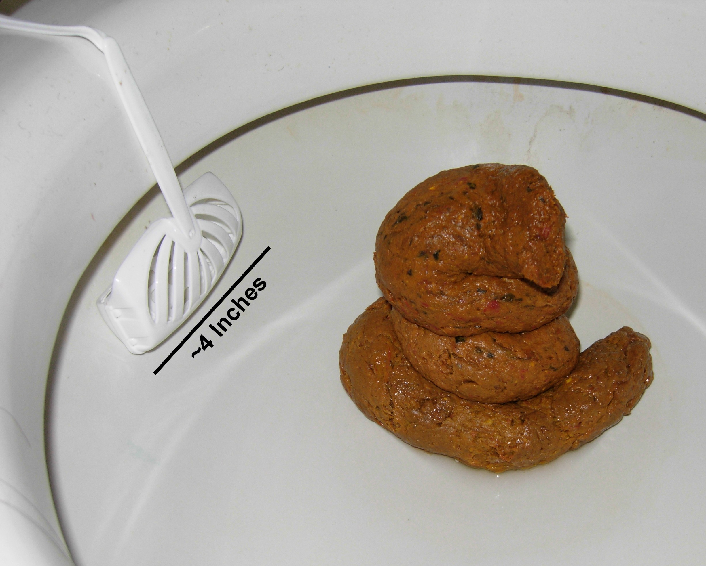 Show Me A Picture Of Poop