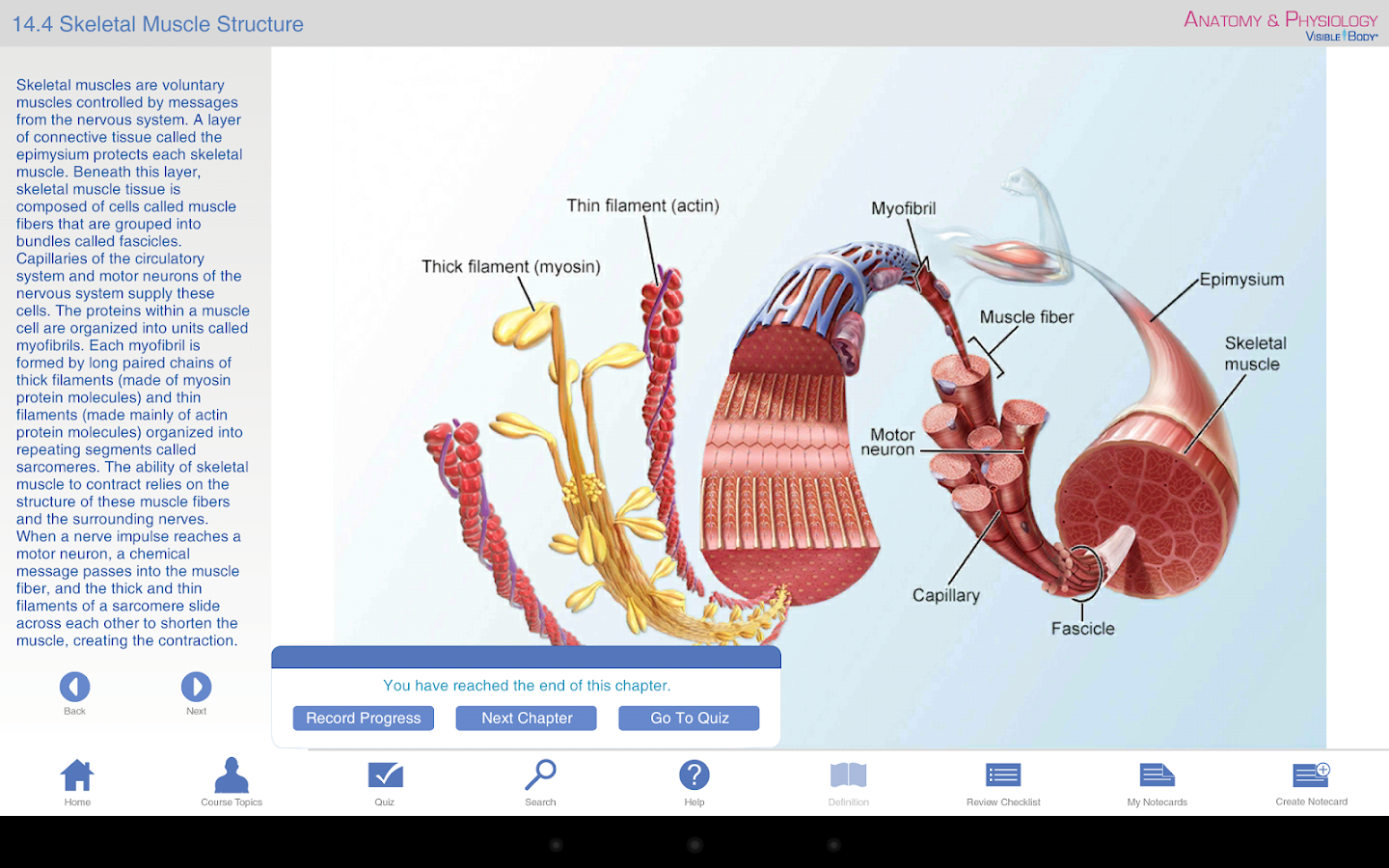 Files download: Human physiology silverthorn 7th edition pdf free download Physiology Of Sport And Exercise 7th Edition Pdf Free Download