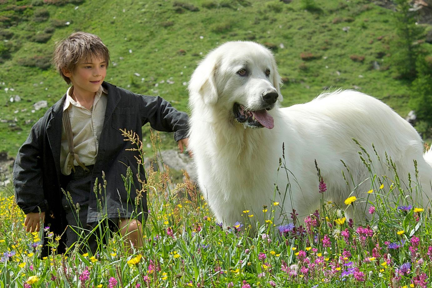 Film » Belle & Sebastian | Deutsche Filmbewertung und Medienbewertung FBW Film Bella I Sebastian Cały Film