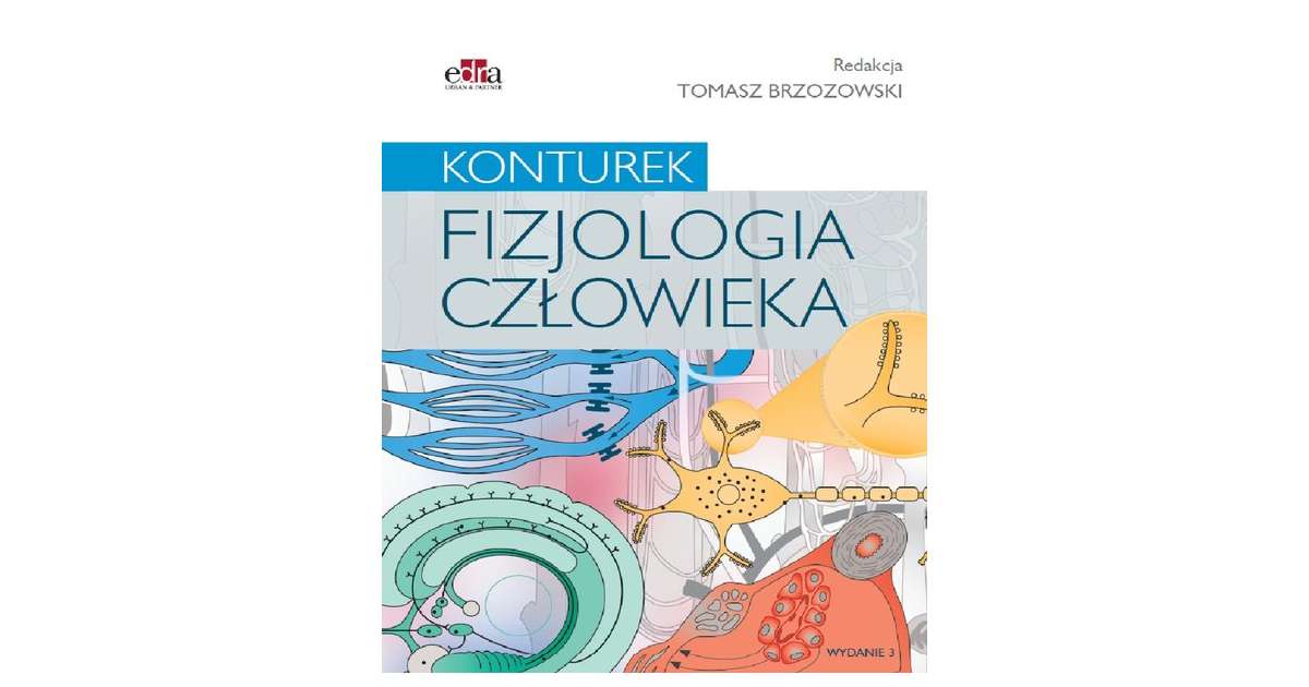 Fizjologia Człowieka S Konturek Pdf