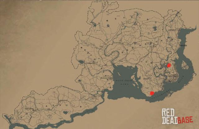 Florida Panther | RDR2 Animals | Map Location & Where To Find Red Dead Redemption 2 Where To Find Panthers