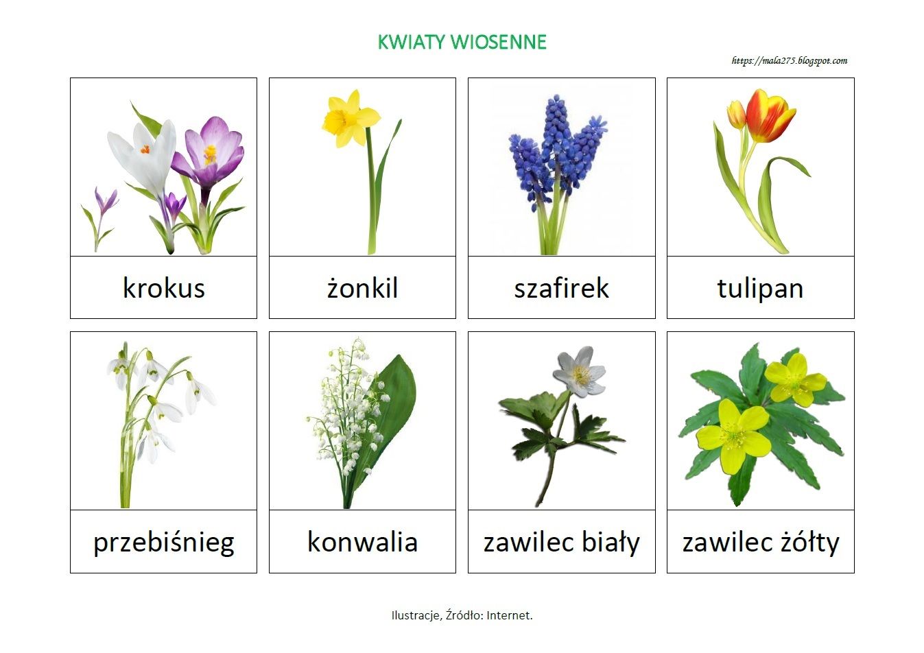 Flower activities for kids, Montessori projects, Math activities preschool Wiosenne Kwiaty Nazwy Kwiatow