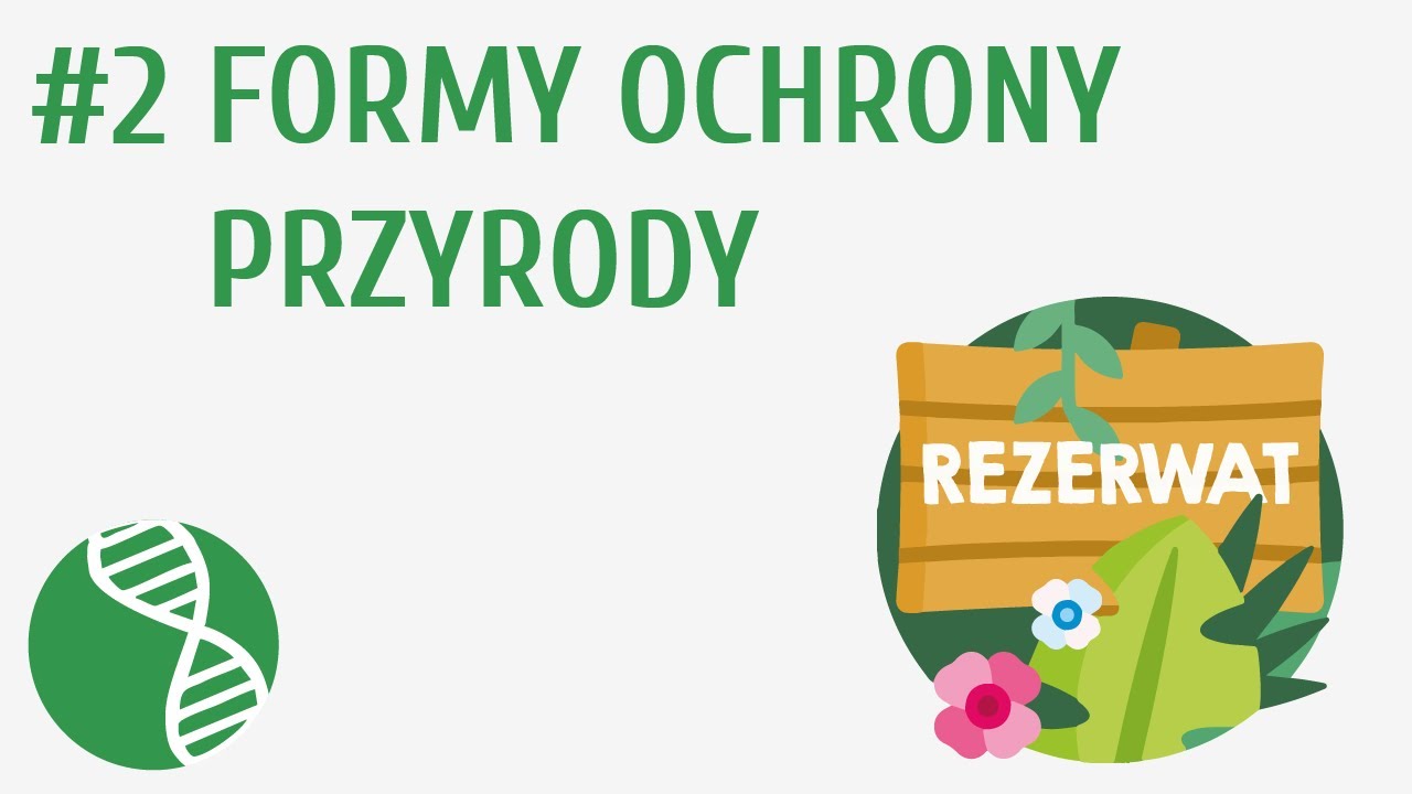 Rodo Ogólne Rozporządzenie O Ochronie Danych Komentarz Pdf