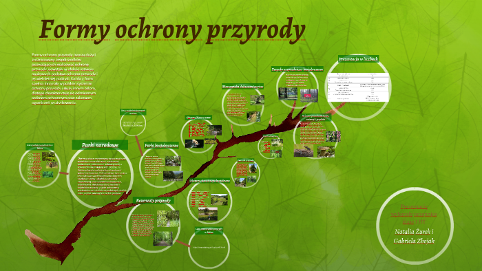 Formy Obszarowej Ochrony Przyrody