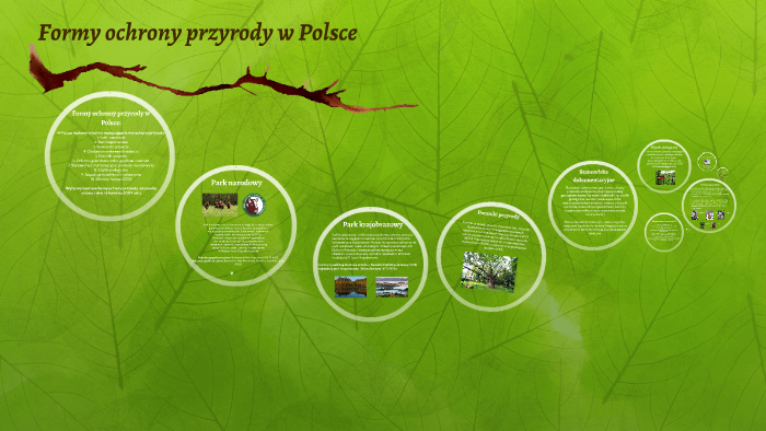 Formy ochrony przyrody w Polsce by Adrianna Fryta on Prezi Jak Chronimy Przyrodę W Polsce