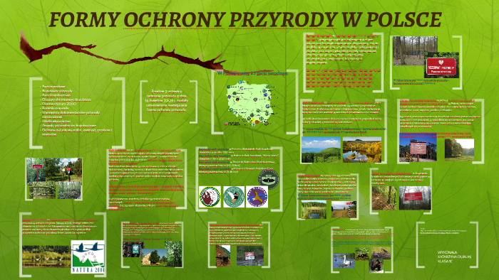 FORMY OCHRONY PRZYRODY W POLSCE by kasia dublas on Prezi Międzynarodowe Formy Ochrony Przyrody W Polsce