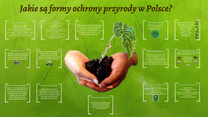 Formy ochrony przyrody w Polsce by Zuzanna Wanowska on Prezi Jedna Z Form Ochrony Przyrody