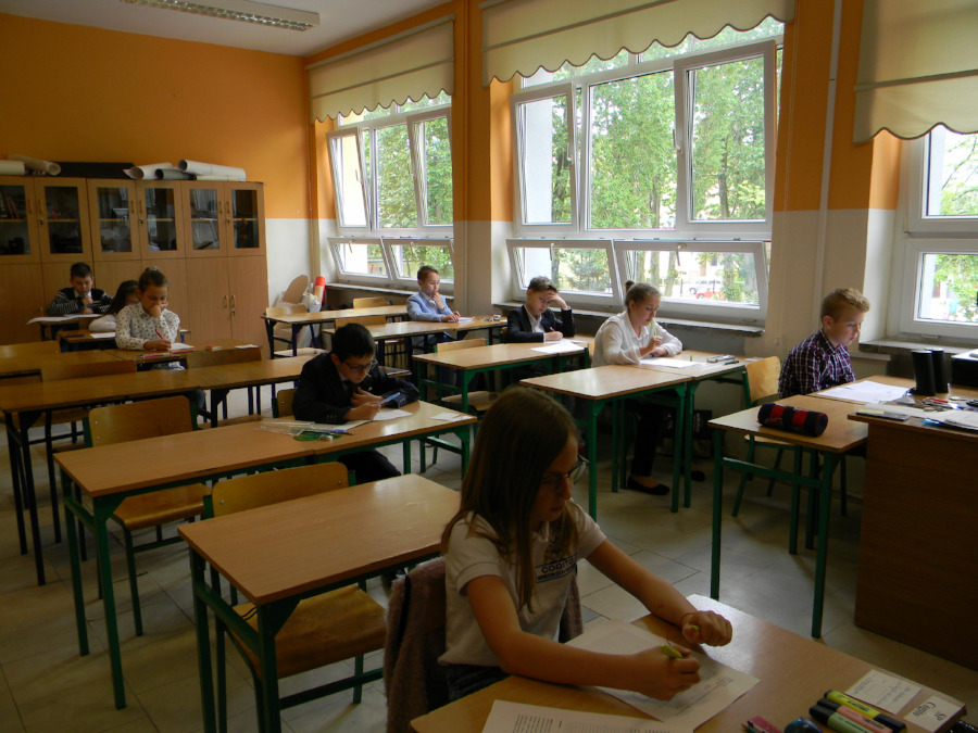 Szkola Podstawowa Nr 3 Sedziszow Mlp