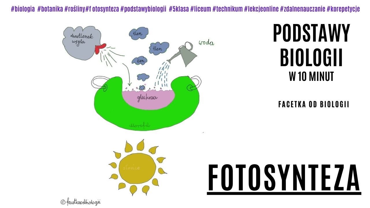 Dziedziny Biologii Zajmujące Się Budową I Funkcjonowaniem Człowieka