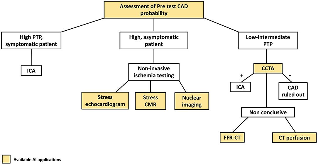Frontiers | Artificial Intelligence Based Multimodality Imaging: A New Hesi Case Study Coronary Artery Disease