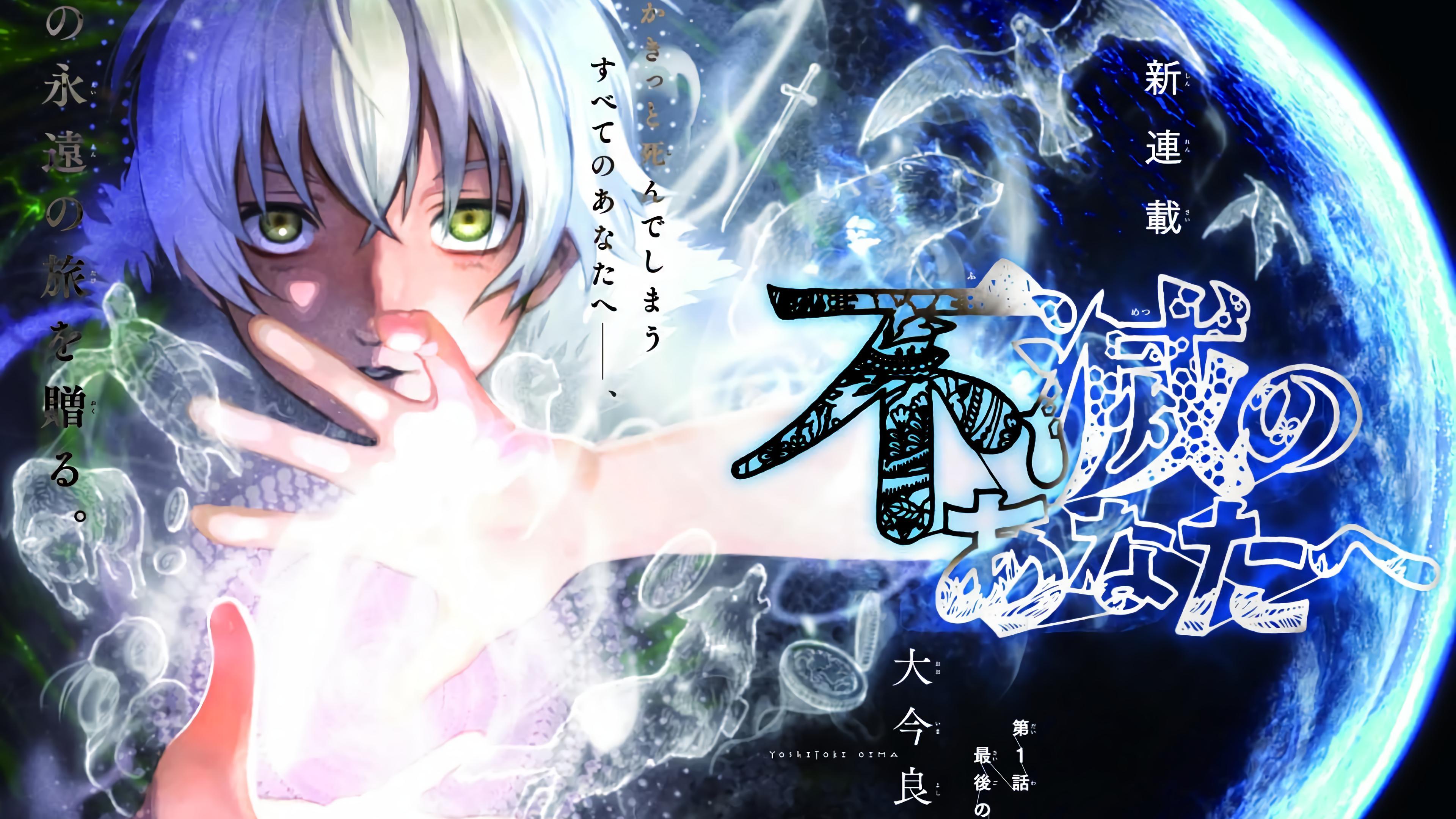 Fumetsu No Anata E Cover