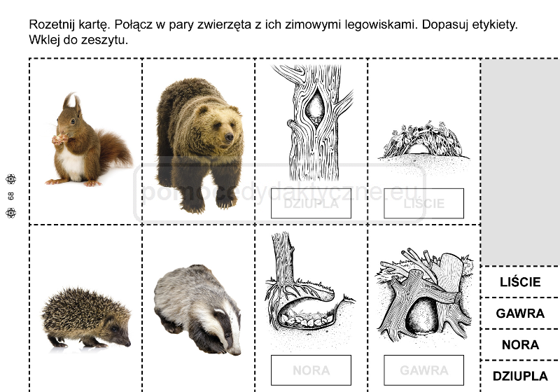 Funkcjonowanie Osobiste I Społeczne Karty Pracy
