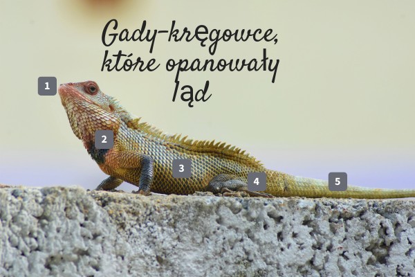 Gady Kregowce Ktre Opanowaly Lad