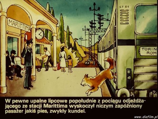 Gawęda jak nasze psy i koty: O psie, który jeździł koleją Pies Ktry Jezdzil Koleja Rysunek