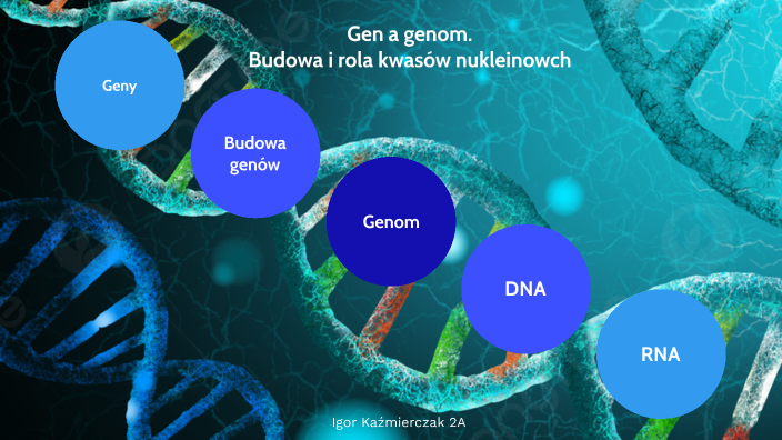 Budowa I Rola Kwasw Nukleinowych