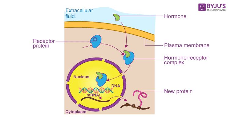 Gene Expression And Regulation Pdf