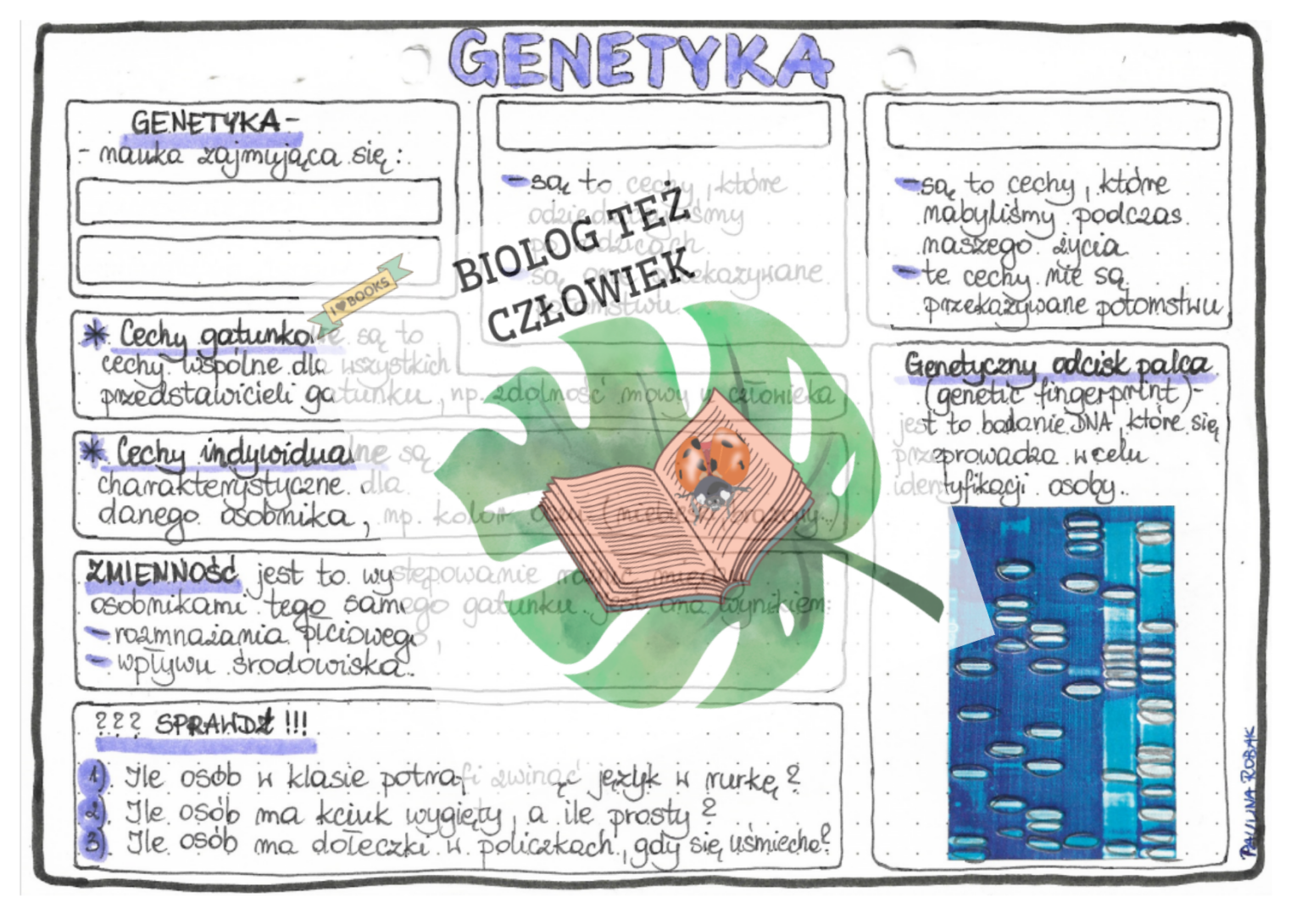 Genetyka (cechy dziedziczne, niedziedziczne, gatunkowe, indywidualne Genetyka Klasa 8 Sprawdzian Pdf