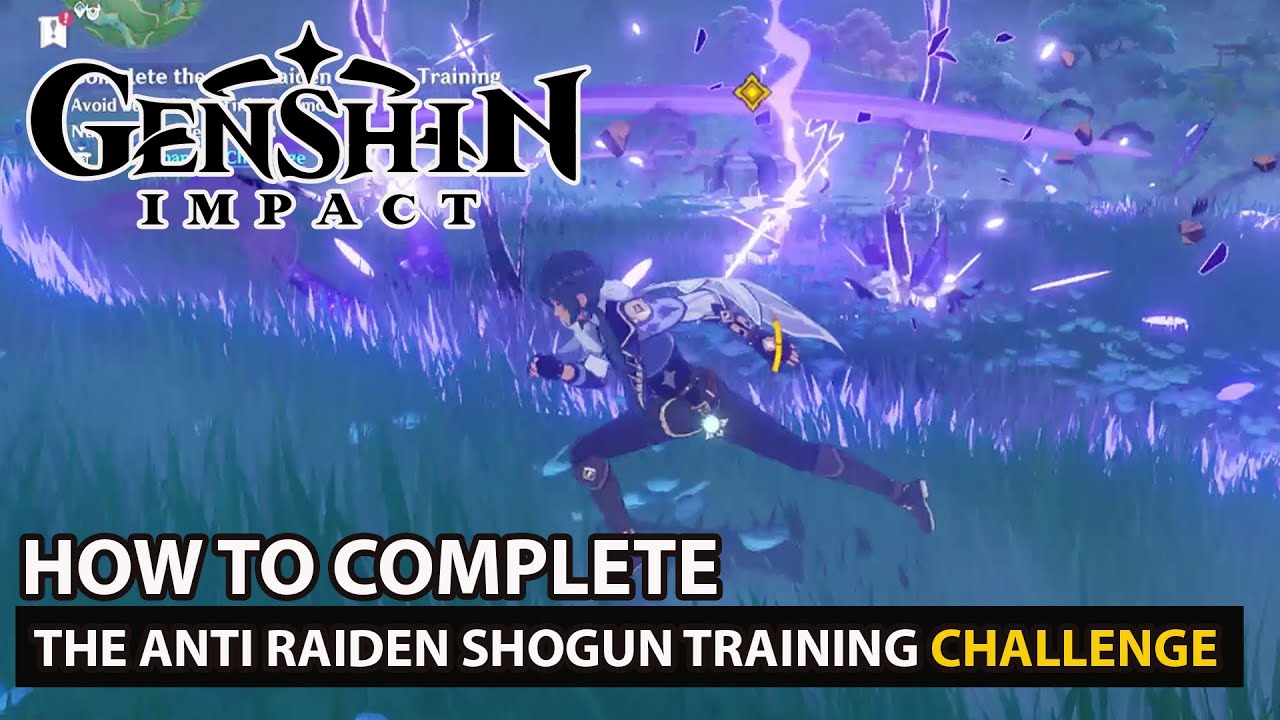 Complete The Anti Raiden Shogun Training