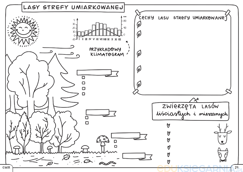 Karta Pracy Geografia Klasa 5