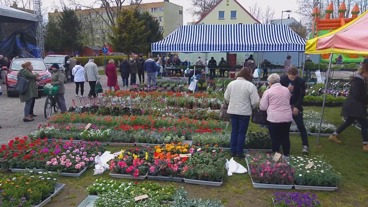 Poczta Kwiatowa Kielce Ul Paderewskiego