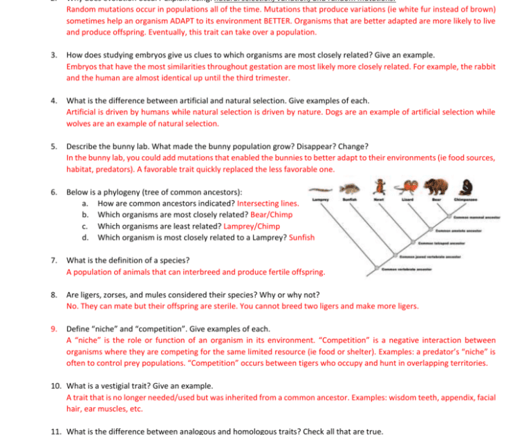Natural Selection Simulation Answer Key Pdf