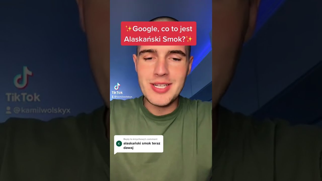 Google, co to jest Alaskański Smok? @kamilwolskyx #tiktokviral # Co To Jest Alaskanski Smok