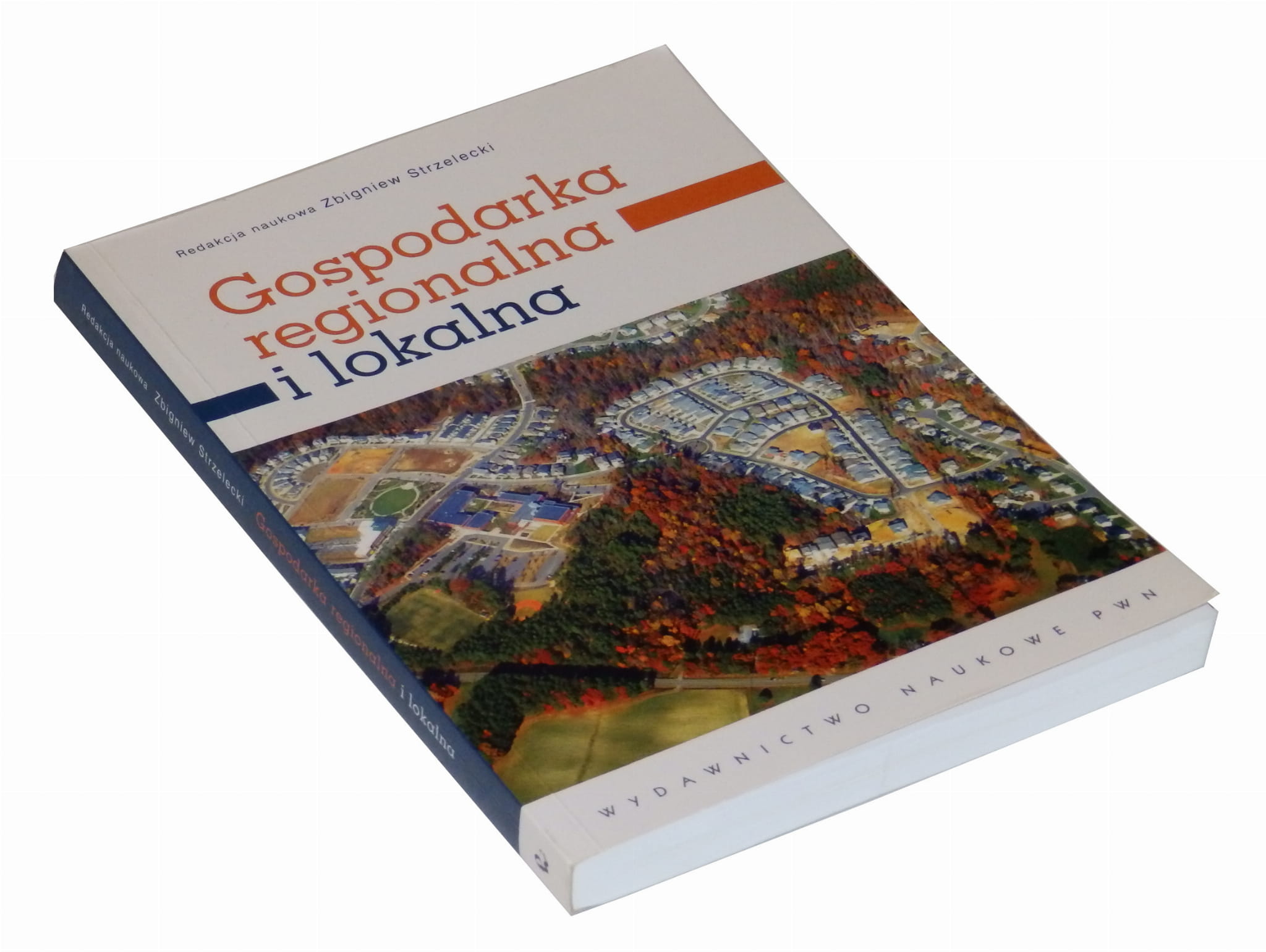 Gospodarka Regionalna I Lokalna Strzelecki Pdf