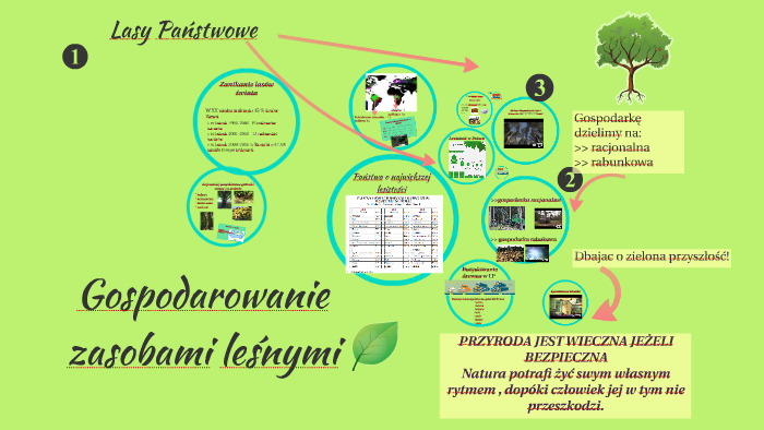 Gospodarowanie zasobami leśnymi by Patrycja Ossowska Zarządzanie Przestrzenią W Gospodarowaniu Nieruchomościami