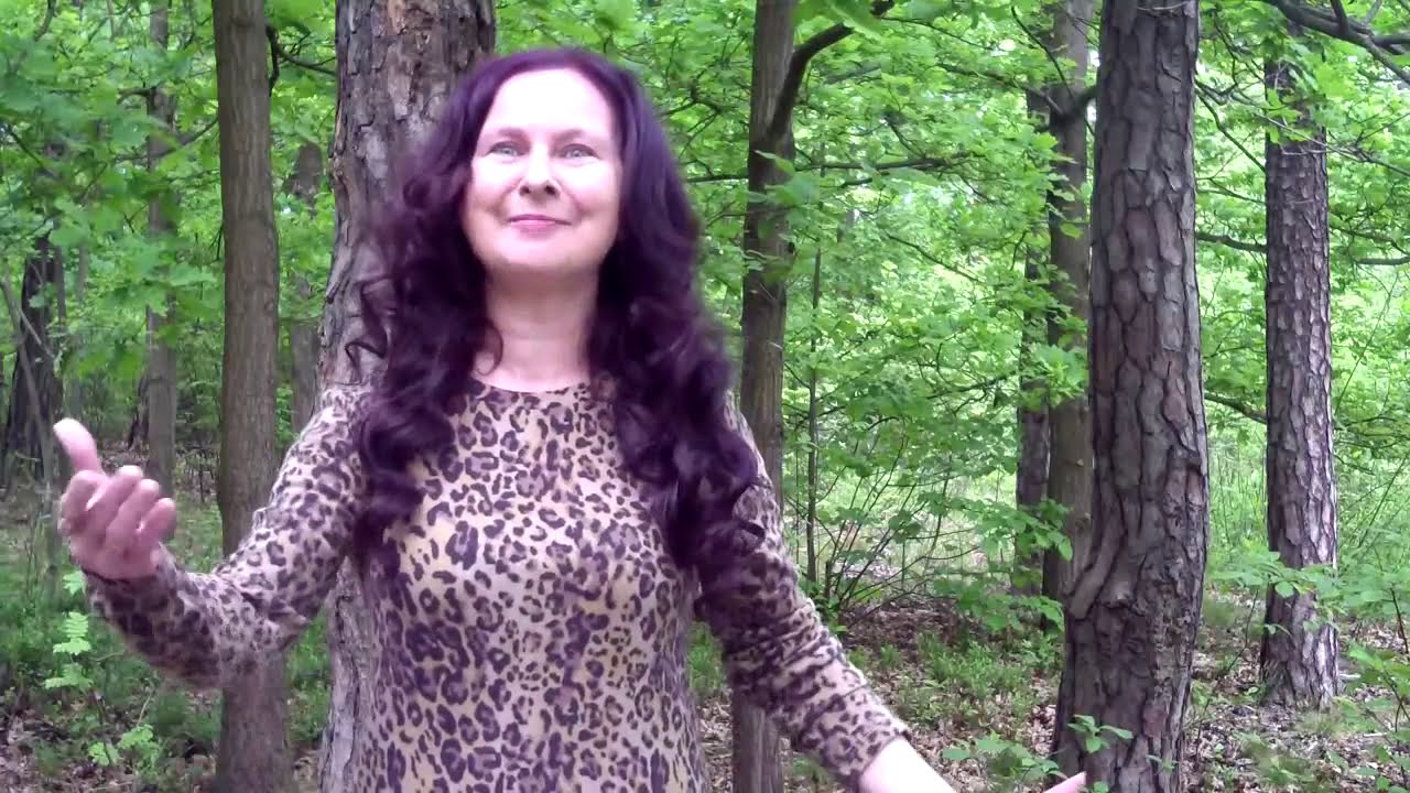 Gra Wojskiego na rogu "Pan Tadeusz" Adam Mickiewicz, Księga IV Pan Tadeusz Wojski Gra Na Rogu