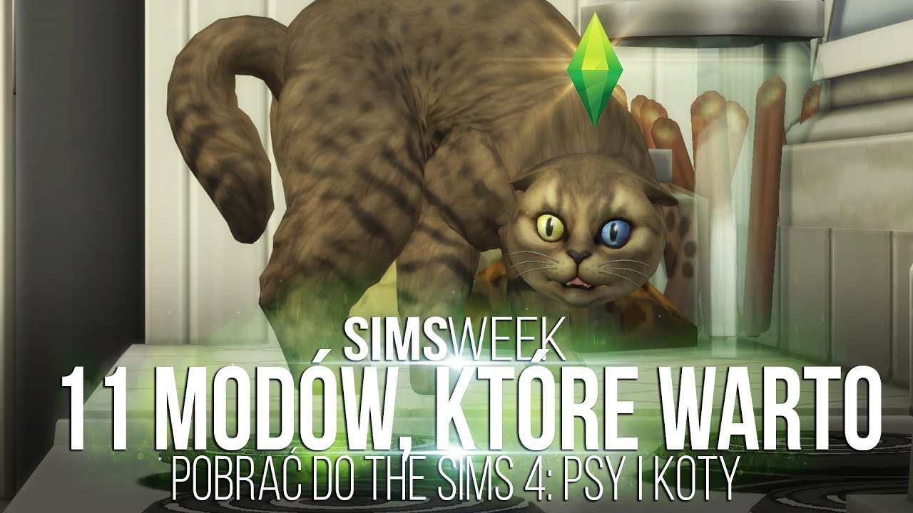 GRYWALNE ZWIERZAKI!! | 11 modów, które warto pobrać do The Sims 4 Psy i Mody Do The Sims 4 Na Zwierzaki