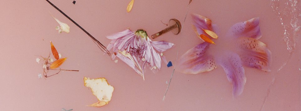 Harry Styles Announces Self-Titled Debut Album Harry Styles Self Titled Album